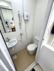 The Estiva (D5), Apartment #532990741